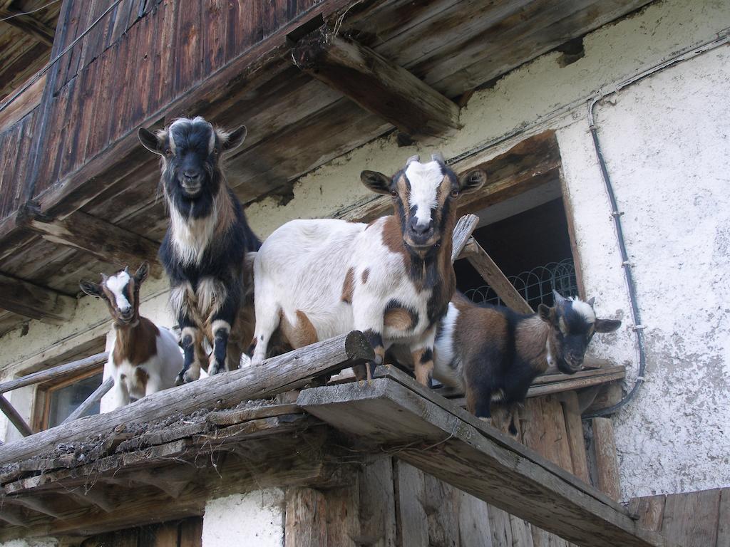 Oberschoellberghof Лутаго Екстериор снимка